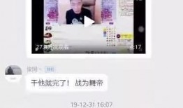 爆料视频咋样拍的快,快速捕捉真相的幕后秘籍